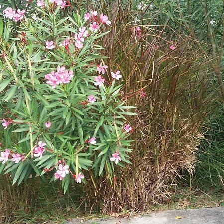 Comfy Home-Tropical Garden & 5 Min Walk To Beach Tamarin Luaran gambar