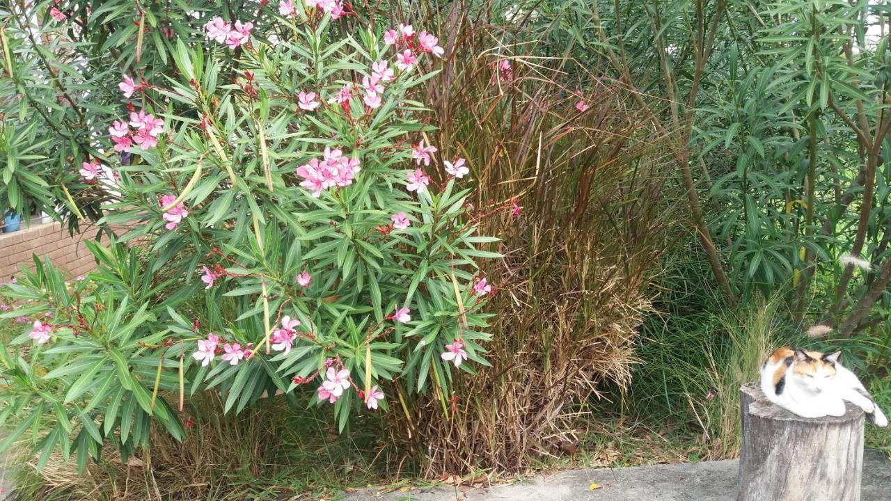Comfy Home-Tropical Garden & 5 Min Walk To Beach Tamarin Luaran gambar