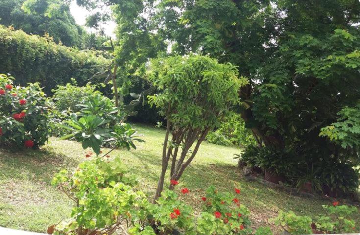 Comfy Home-Tropical Garden & 5 Min Walk To Beach Tamarin Luaran gambar