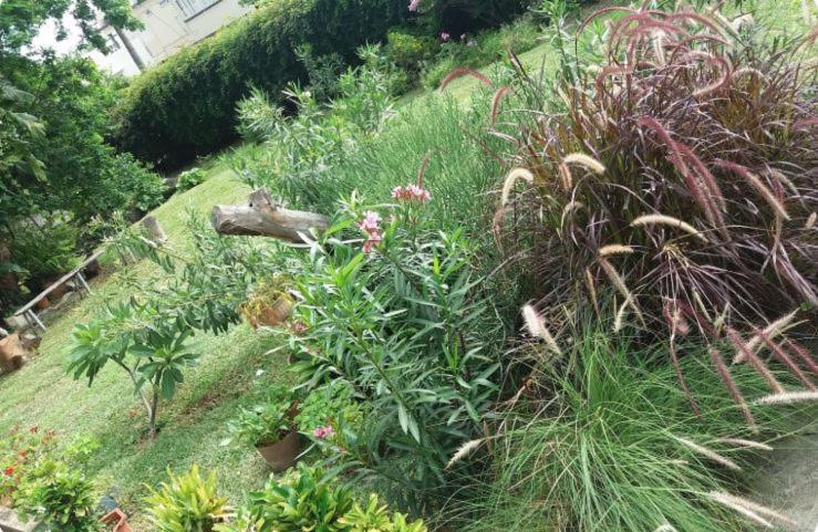 Comfy Home-Tropical Garden & 5 Min Walk To Beach Tamarin Luaran gambar
