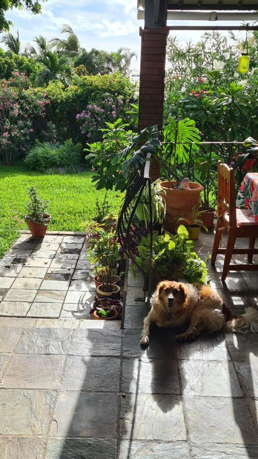 Comfy Home-Tropical Garden & 5 Min Walk To Beach Tamarin Luaran gambar