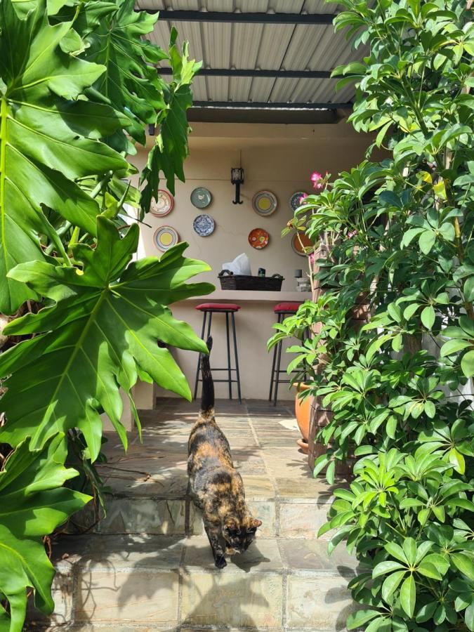Comfy Home-Tropical Garden & 5 Min Walk To Beach Tamarin Luaran gambar